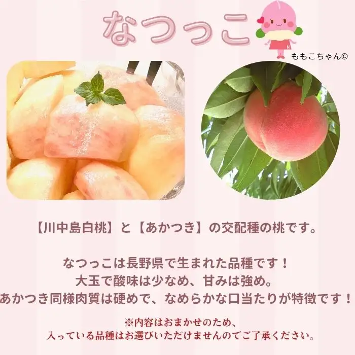 南信州産「桃」あかつき/なつっこ 約5kg 8～12玉 品種おまかせ＜2027年7月下旬より発送＞