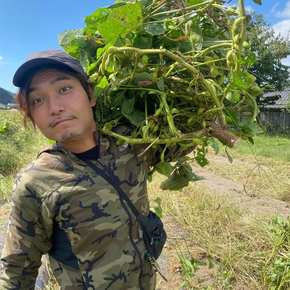 丹波篠山産黒枝豆 1.5kg（500g×3袋） [ONB009]