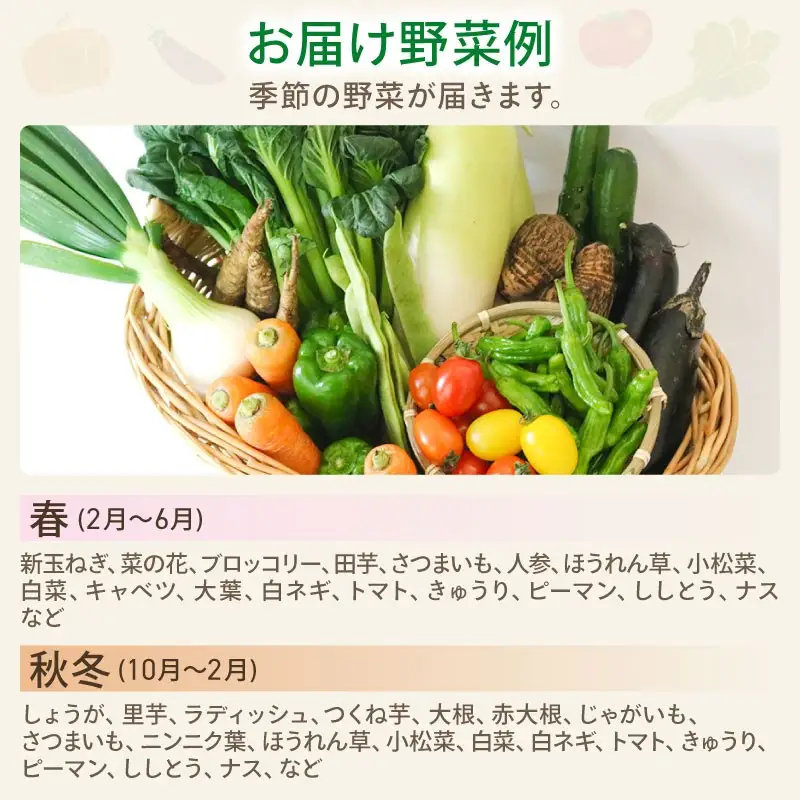【6回定期便】 朝採れ新鮮！ 野菜セット(7～8品) | 定期便 野菜 セット