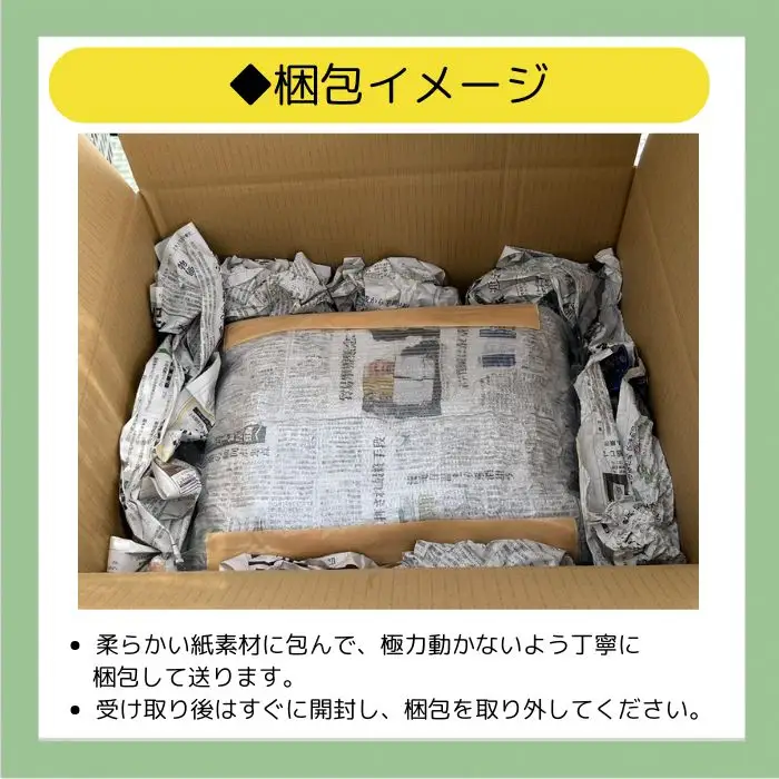エケベリア 命名株 おまかせ 4個 セット 【多肉屋GPK】