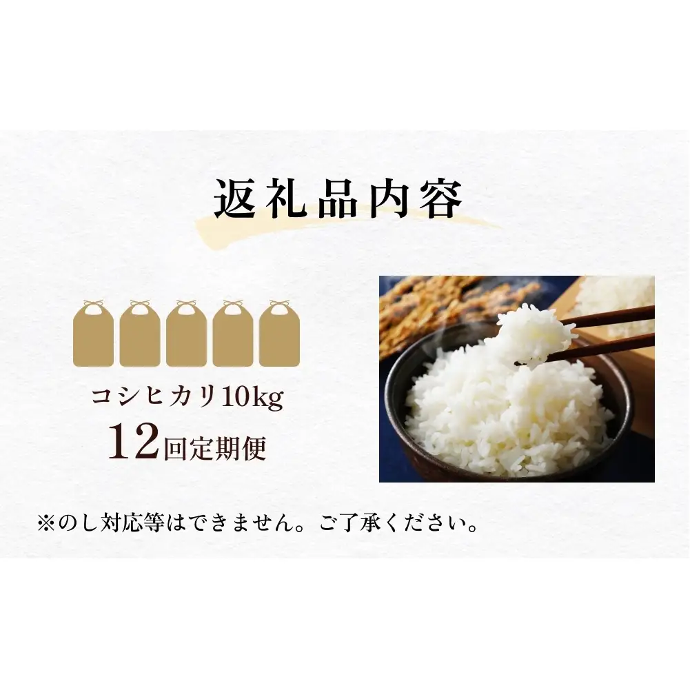 【12回定期便】富山県産 コシヒカリ 10kg 富山県 氷見市 米 コシヒカリ 定期便