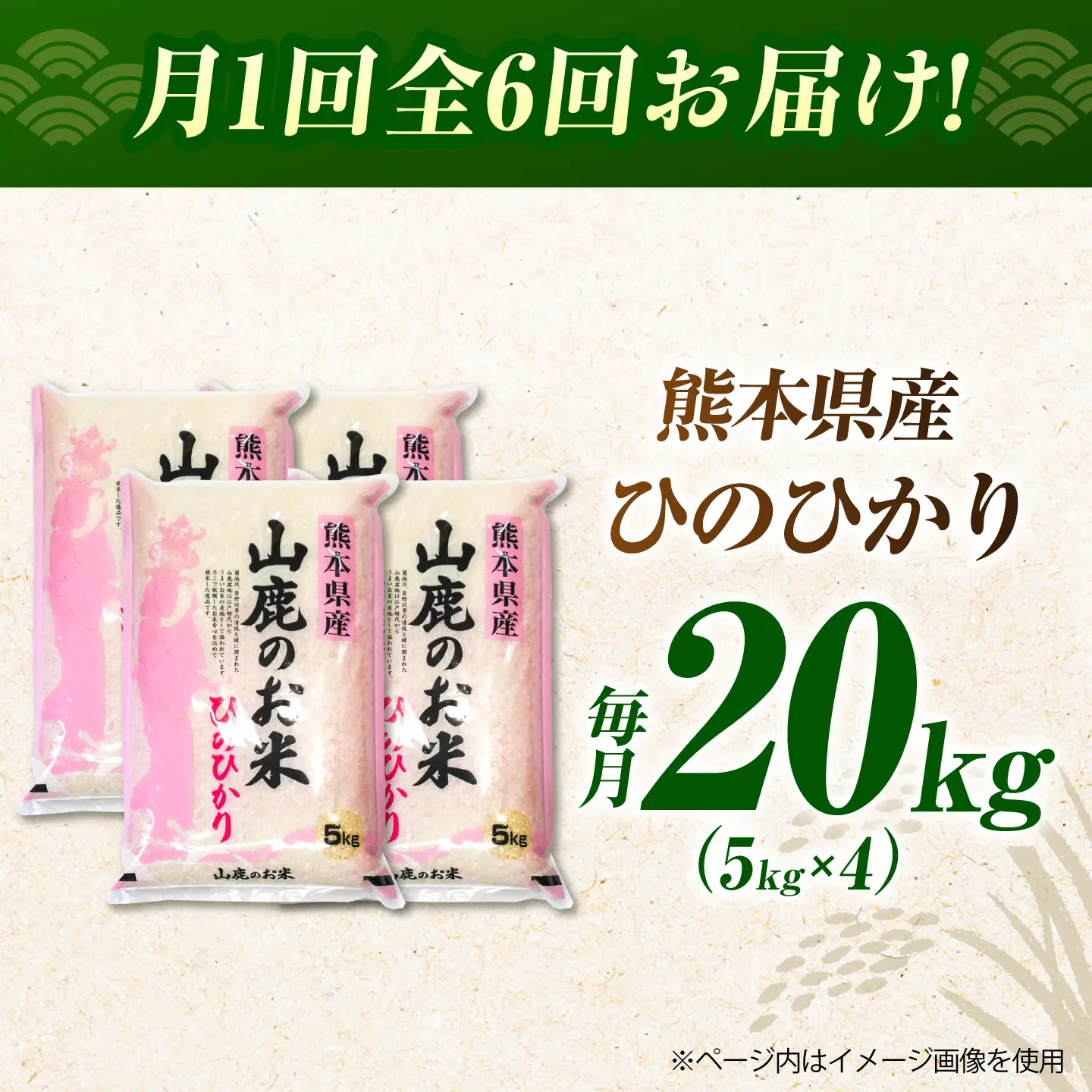 〈令和8年度産米〉【6回定期便】山鹿のお米 ヒノヒカリ 5kg×4【有限会社 あそしな米穀】[ZBI042]