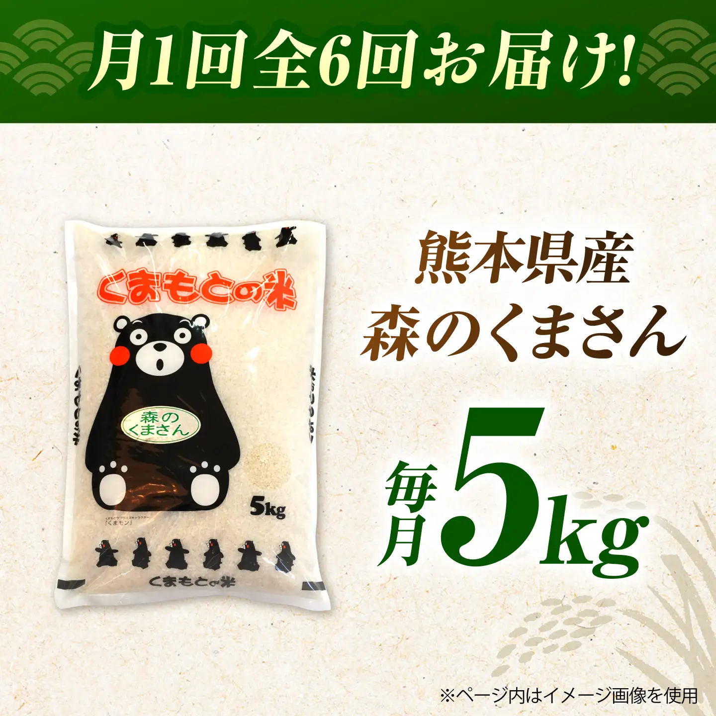 〈令和8年度産米〉【6回定期便】熊本県産 森のくまさん 白米 5kg 米 お米 ご飯 こめ【有限会社 あそしな米穀】[ZBI043]
