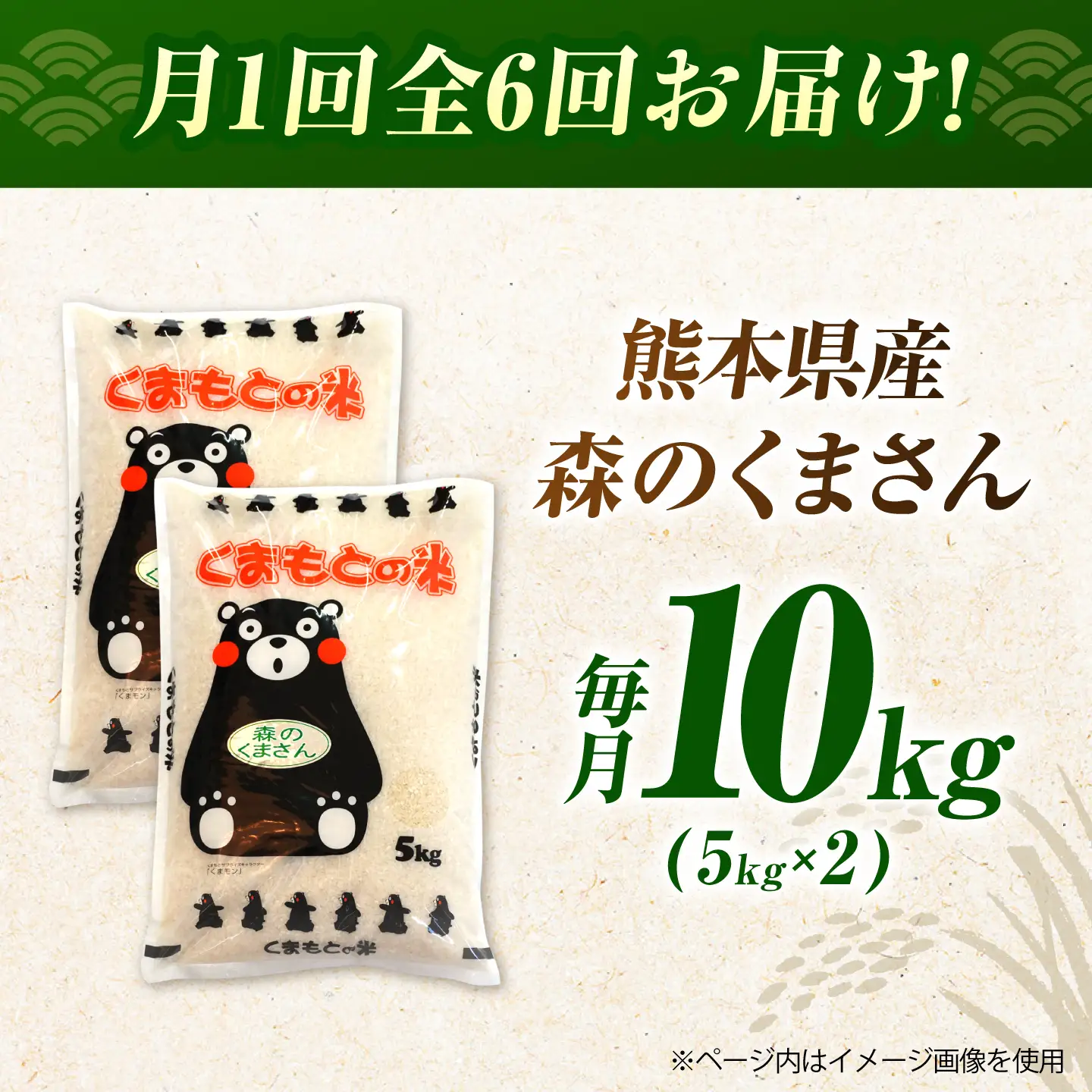 〈令和8年度産米〉【6回定期便】熊本県産 森のくまさん 白米 10kg (5kg×2) 米 お米 ご飯 こめ【有限会社 あそしな米穀】[ZBI044]