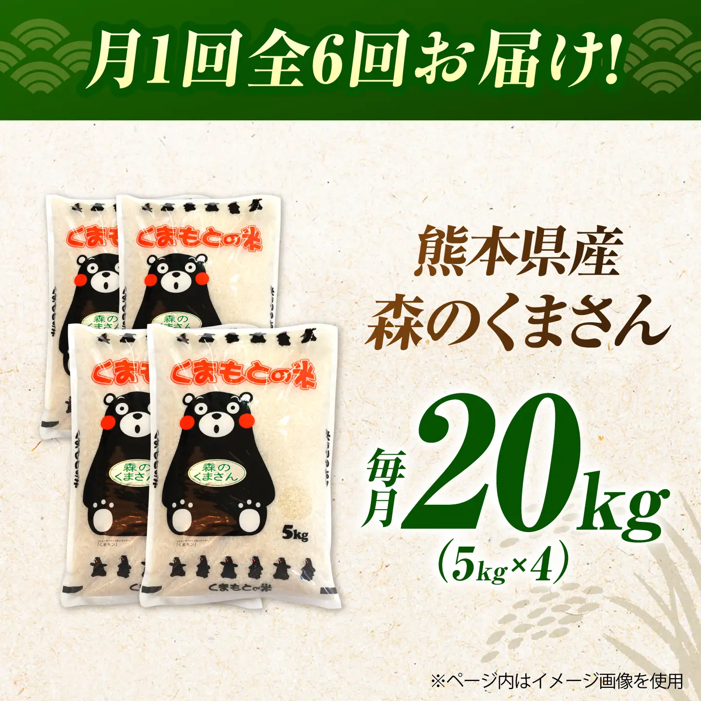〈令和8年度産米〉【6回定期便】熊本県産 森のくまさん 白米 20kg (5kg×4) 米 お米 ご飯 こめ【有限会社 あそしな米穀】[ZBI047]