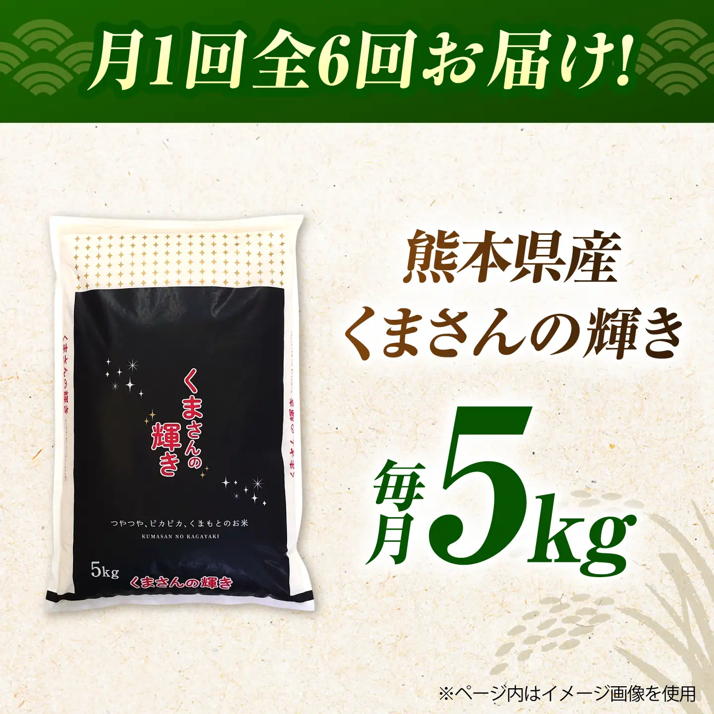 〈令和8年度産米〉【6回定期便】熊本県産 くまさんの輝き 白米 5kg 米 お米 ご飯 こめ【有限会社 あそしな米穀】[ZBI048]