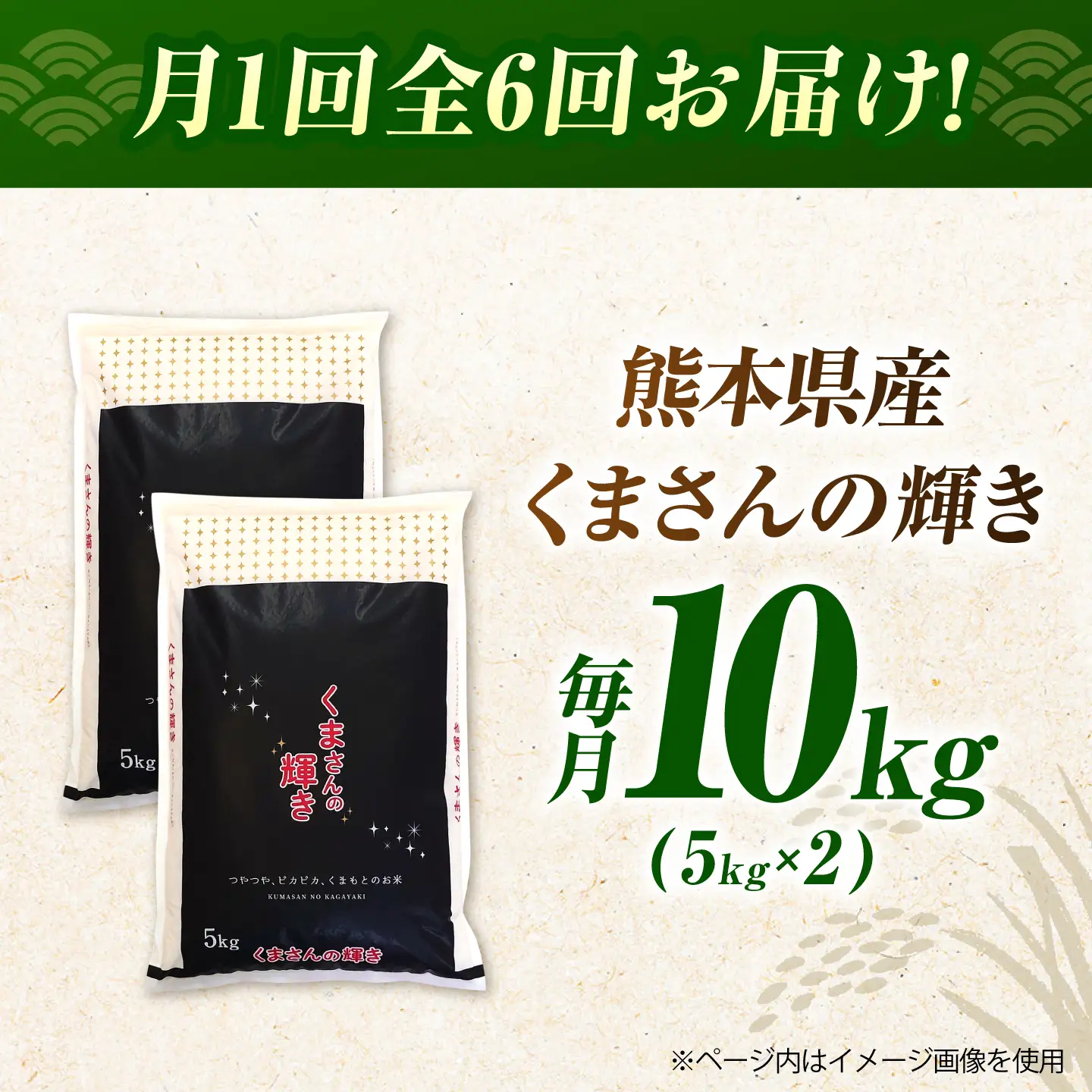 〈令和8年度産米〉【6回定期便】熊本県産 くまさんの輝き 白米 10kg (5kg×2) 米 お米 ご飯 こめ【有限会社 あそしな米穀】[ZBI049]