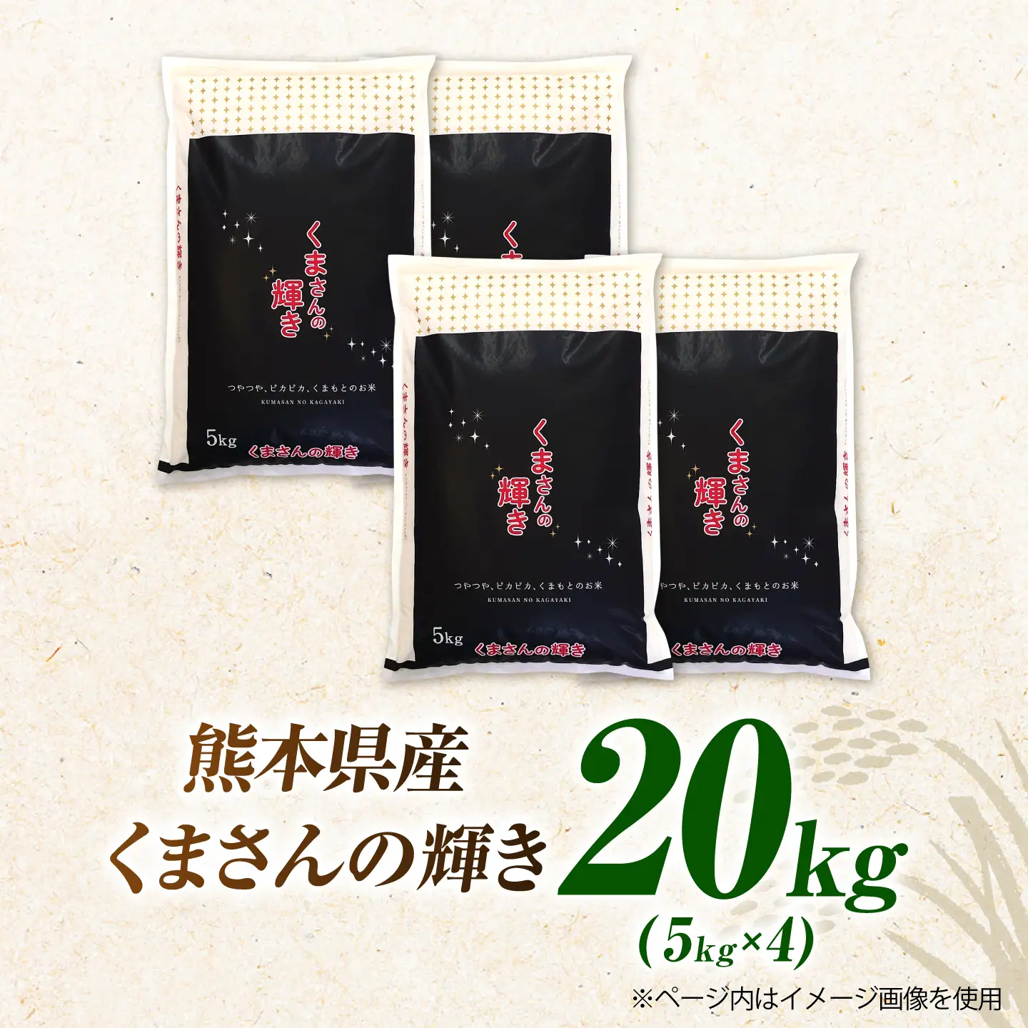 【新米先行予約】〈令和8年度産米〉熊本県産 くまさんの輝き 白米 20kg (5kg×4) 米 お米 ご飯 こめ【有限会社 あそしな米穀】[ZBI050]