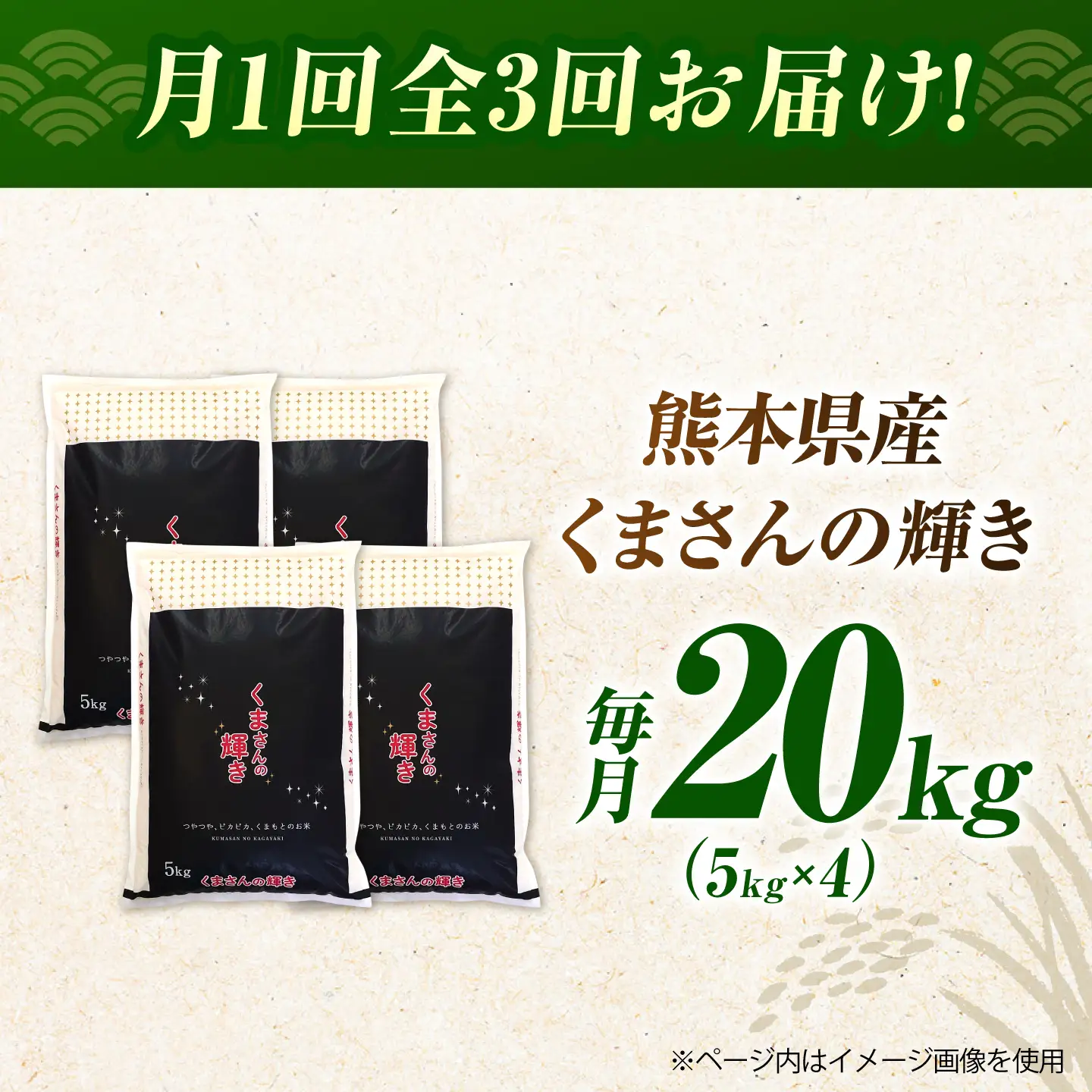 〈令和8年度産米〉【3回定期便】熊本県産 くまさんの輝き 白米 20kg (5kg×4) 米 お米 ご飯 こめ【有限会社 あそしな米穀】[ZBI051]