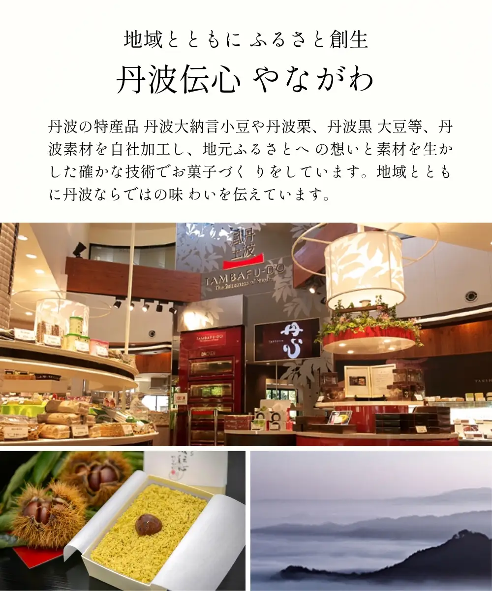 黒豆茶 3袋入 丹波やながわ 黒豆茶