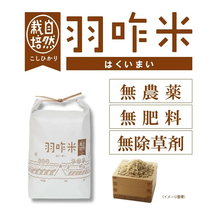 令和8年 羽咋米 コシヒカリ精米3㎏×1袋 羽咋米
