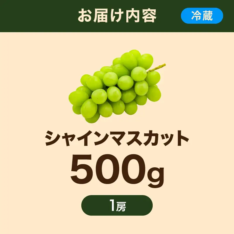 【先行予約】【数量限定】島根県産 シャインマスカット 500g 【215_0005】