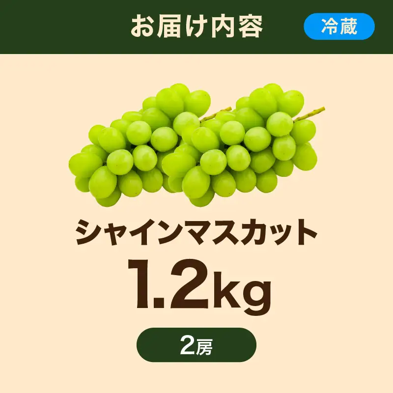 【先行予約】【数量限定】島根県産 シャインマスカット 1.2kg 【215_0007】