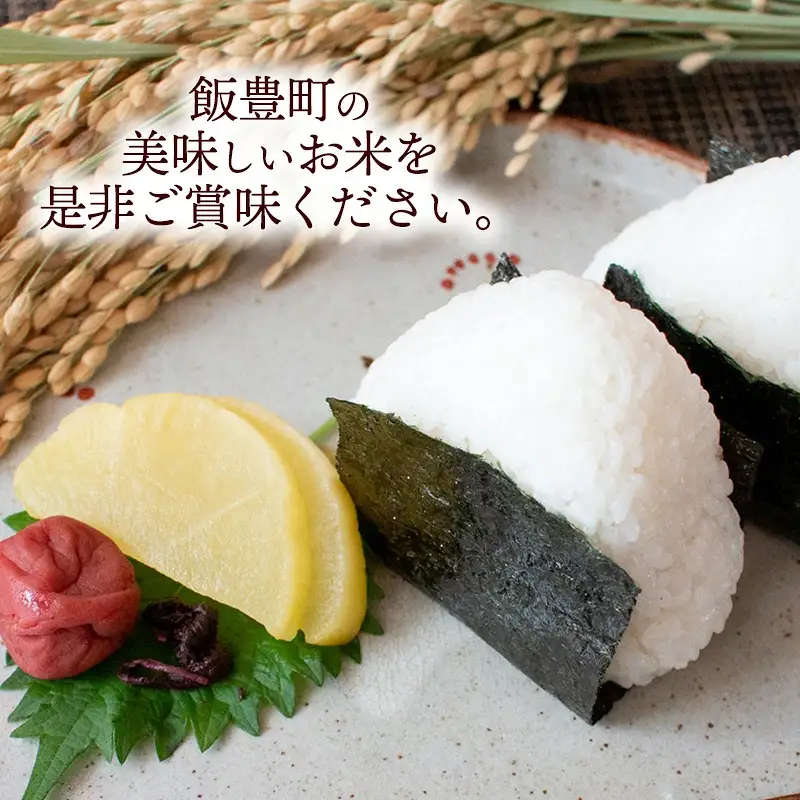 人気のブランド米 つや姫 白米 10kg（飯豊町産）【R8年産】  - 山形県 米 精米 ブランド米 ご飯 田園サービスいいで
