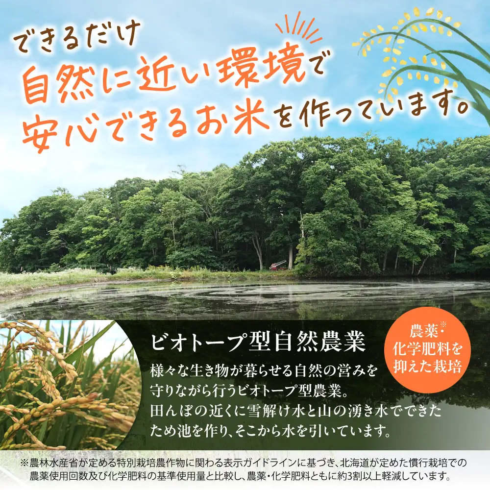 【令和8年度産米】精米ゆきさやか5kg | 北海道産米 精米 白米 米 ブランド米 北海道 当別町