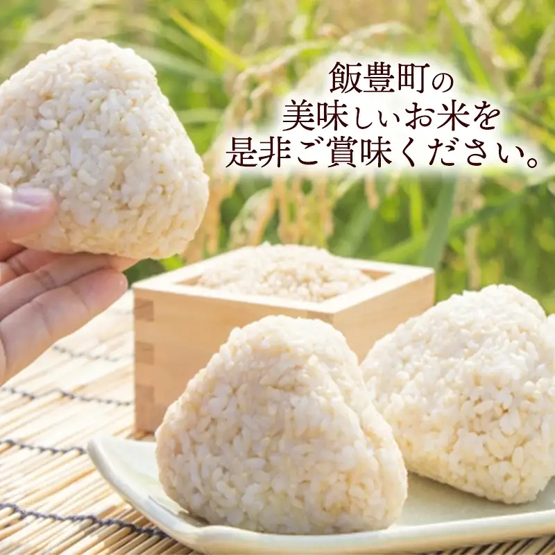 人気のブランド米 はえぬき 玄米10kg（飯豊町産）【R8年産】 - 山形県 玄米ごはん ブランド米 田園サービスいいで