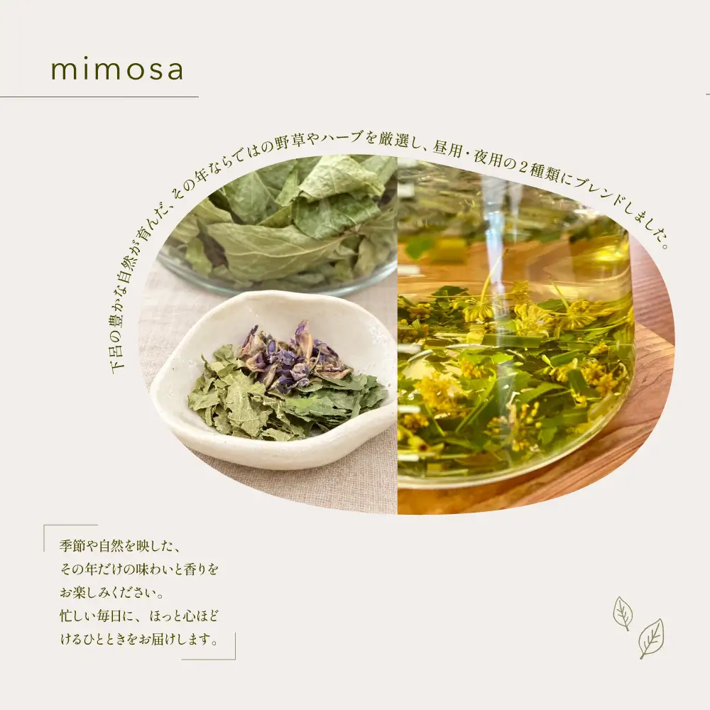 飛騨の野草とともに贈る香りと癒しのギフトセット（米粉クッキー缶・野草香袋・ハーブティー）【96-15】