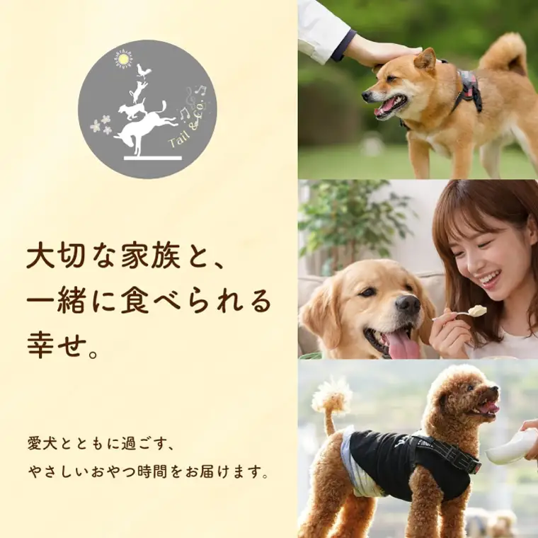 プラントベースアイスクリームセット　for humans and dogs さつまいも味・かぼちゃ味｜茨城県 行方市 ふるさと納税 アイス お菓子 植物性ミルク 豆乳 スイーツ デザート（HZ-2）