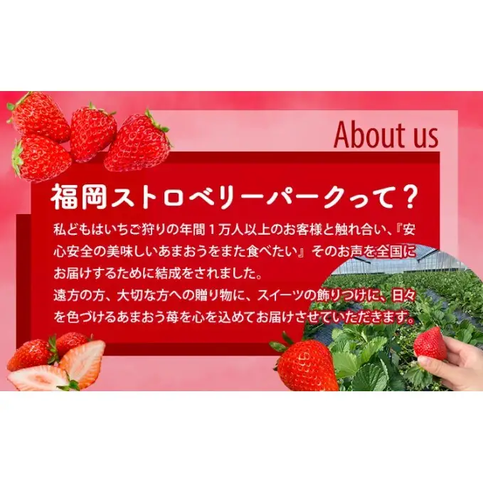福岡ストロベリーパーク あまおう サイズ色々 8パック 約2kg（約250g×8p）