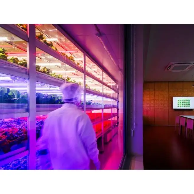 【11/3(火・祝)開催】FARM HANEDA見学会チケット 見学 収穫 体験 体験チケット 植物工場 野菜 栽培 レタス ラディッシュ サラダホウレンソウ 大田区 東京都