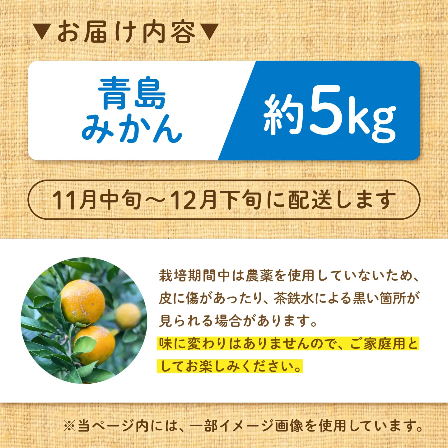 【12月上旬から1月上旬にかけて順次発送】【ご家庭用】 青島みかん 約5kg 広川町 / やまんた農園[AFCP002]