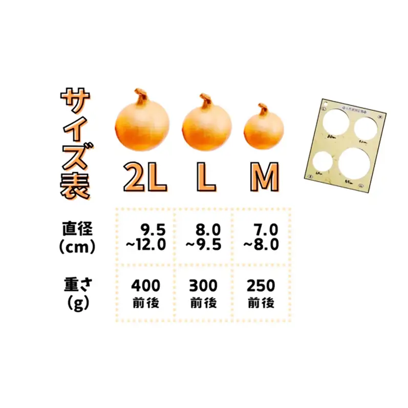玉ねぎ 淡路島産 ターザン 貯蔵用 3kg 玉ねぎ