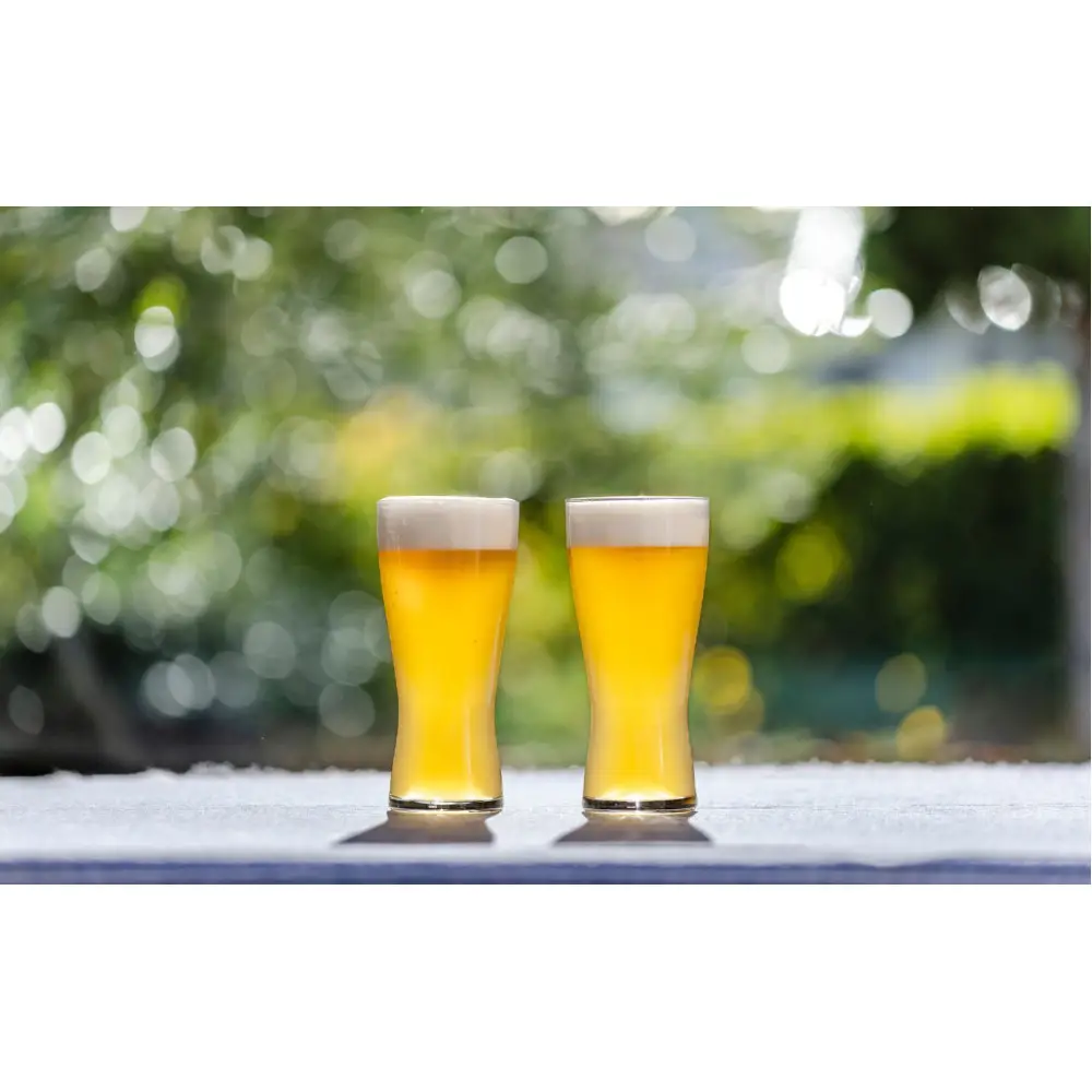 クラフトビール　ベリー+キウイ+柚子胡椒の飲み比べセット（330ml×3本）