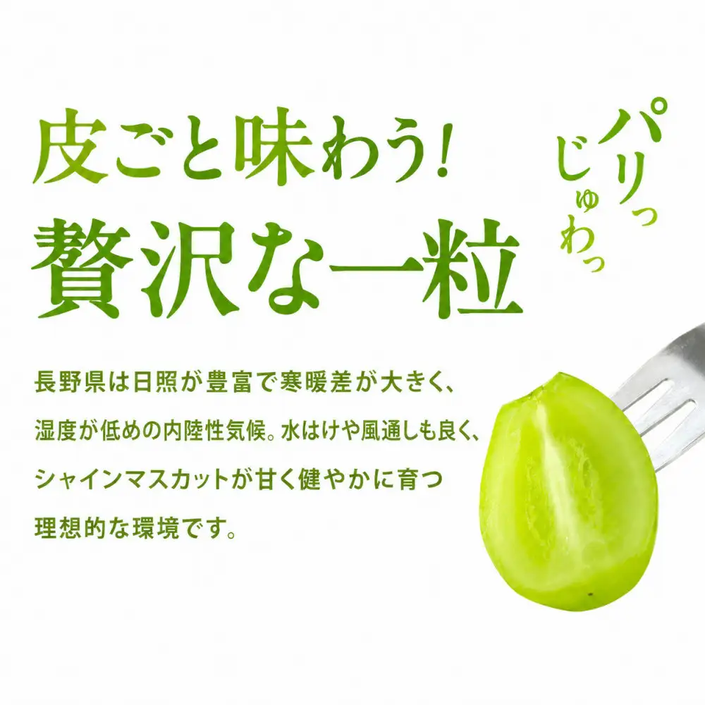 秀品 シャインマスカット 1kg 長野市産 シャインマスカット フルーツ 果物