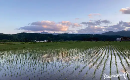 【令和８年産 新米】山形県小国町産 雪若丸10kg　小国地産