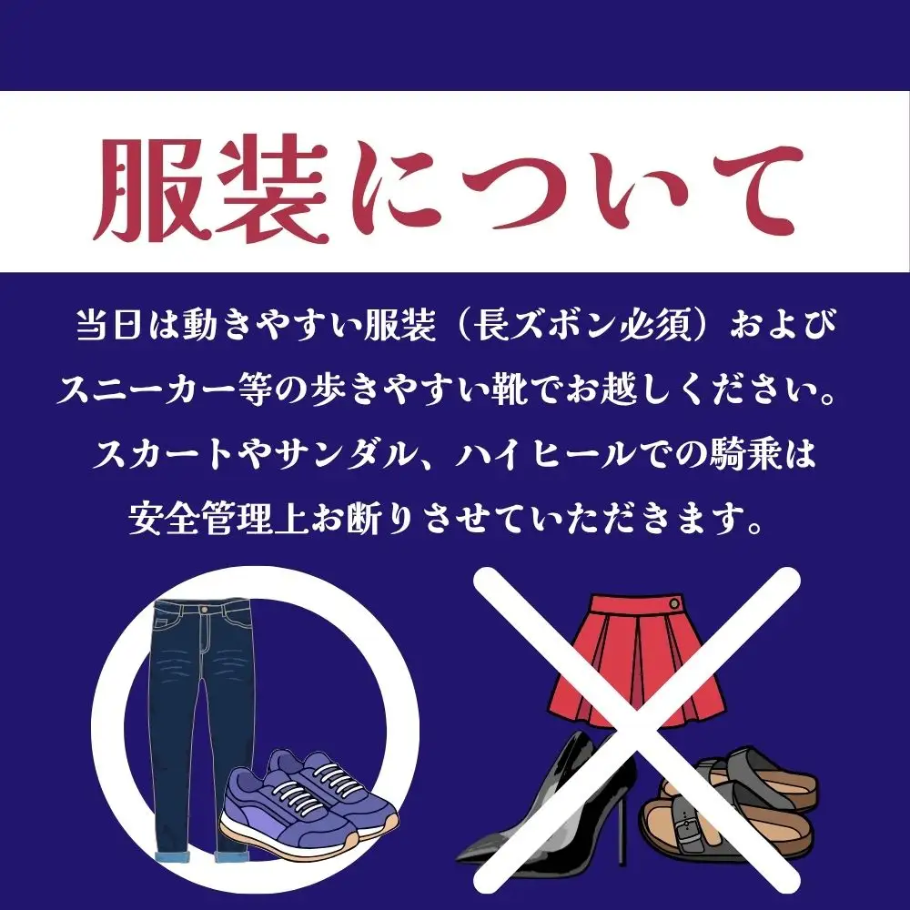 【ふるさと納税】  本格乗馬体験  1回分 北海道安平町〈早来エクワインファーム〉馬 サラブレッド ポニー 競馬 馬術 体験