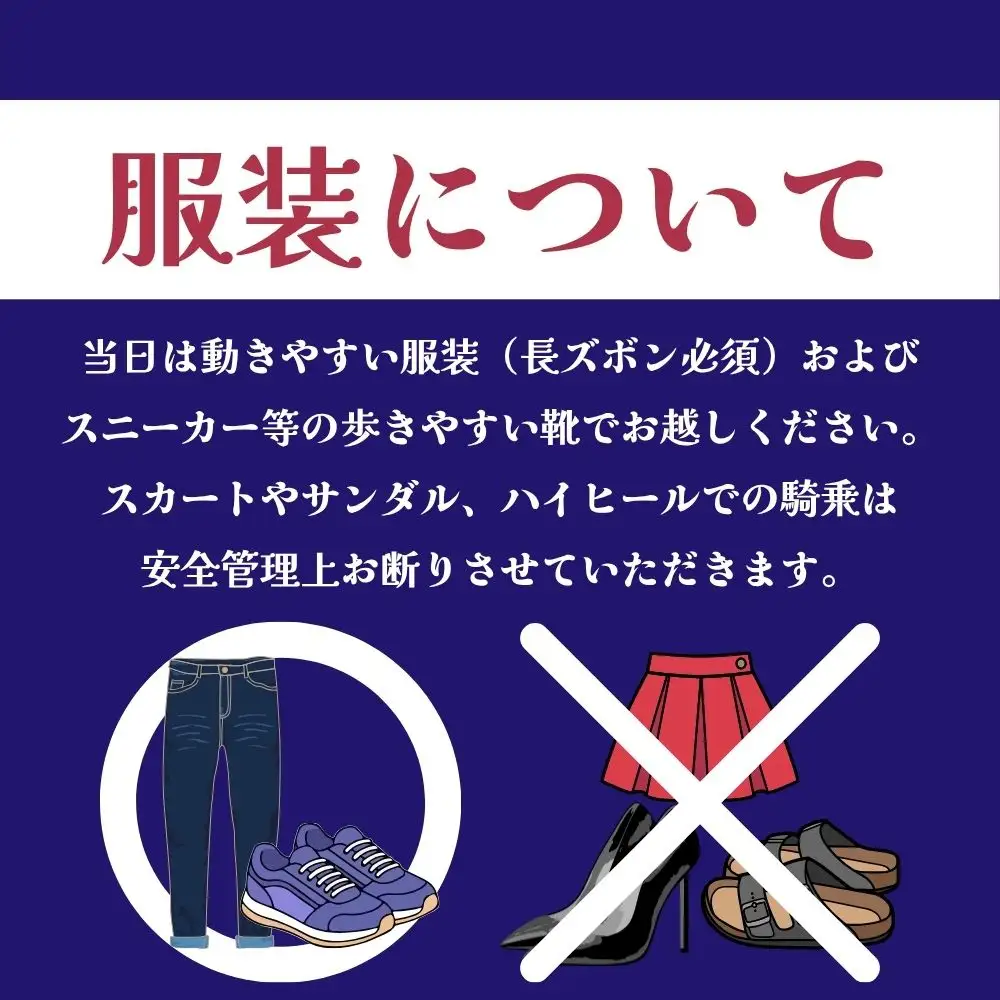 【ふるさと納税】ビジター騎乗 ＜障害あり＞  1回分 北海道安平町〈早来エクワインファーム〉馬 サラブレッド ポニー 競馬 馬術 体験