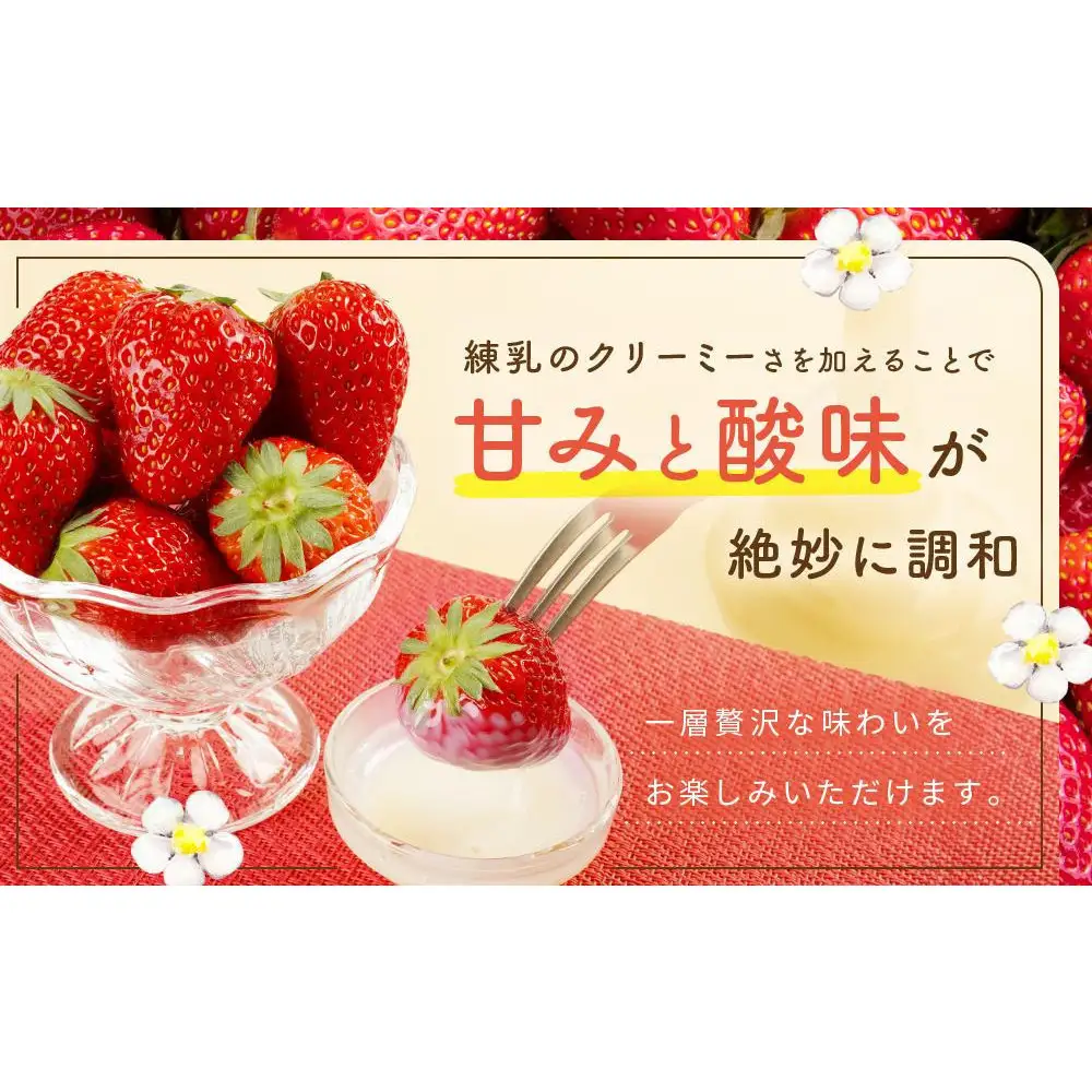 【2027年発送！3か月定期便】2Lサイズ 静岡いちご「紅ほっぺ」40粒　総重量約600ｇ　【20粒（約300ｇ）×2トレイ】 数量限定　人気　リピート多数