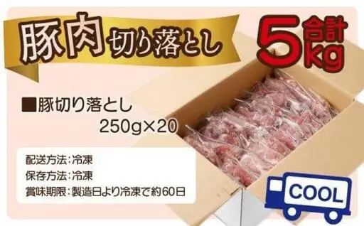 《2026年11月発送》豚肉切り落とし 250g×20パック 合計5kg_K033-030-11