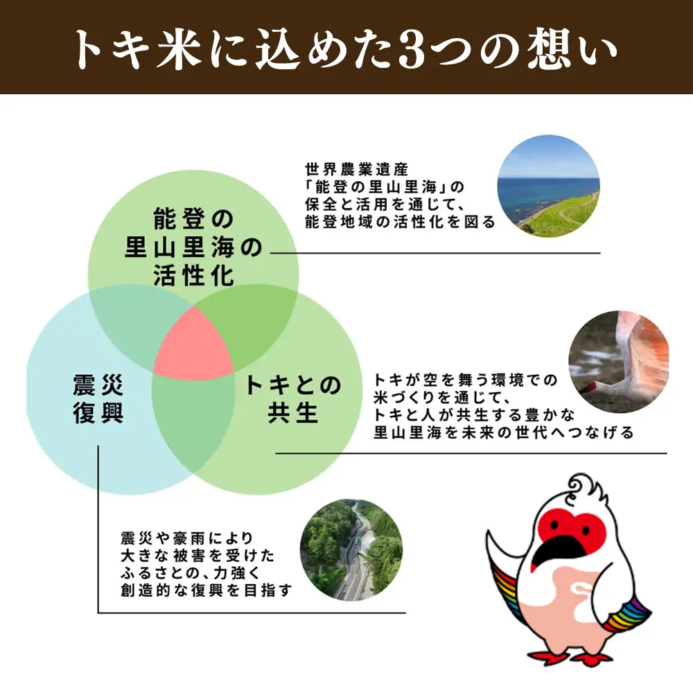 万行希望の丘農園 こしひかり 玄米 5kg｜米 玄米 能登 里山 里海 石川県 七尾市 能登半島