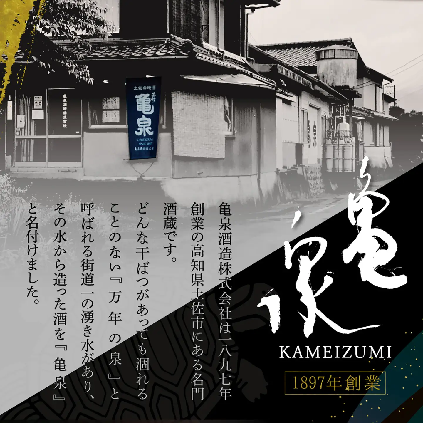 【先行予約】純米吟醸生原酒 CEL-24 720ml 1本生酒 お酒 酒 さけ 日本酒 アルコール 生原酒【株式会社とさもん】[BQAE111]