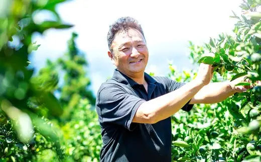 【 ひと搾りで際立つ上質な香り 】 レモン 約4kg  料理 調理  国産 フルーツ 果物 国産レモン 【 2027年1月上旬‐4月下旬発送予定 】  ( 1175-1 )
