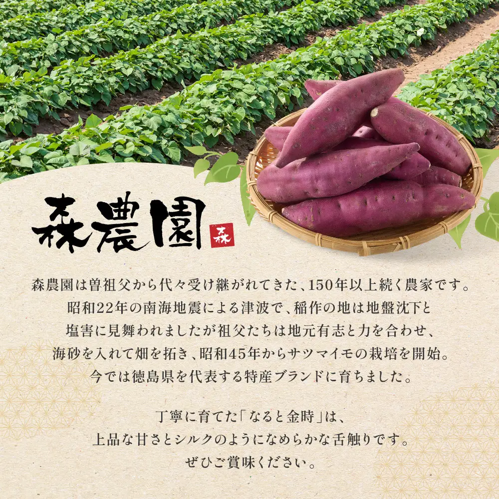 もりのべに さつまいも お歳暮用 8本入り 約1.8kg前後