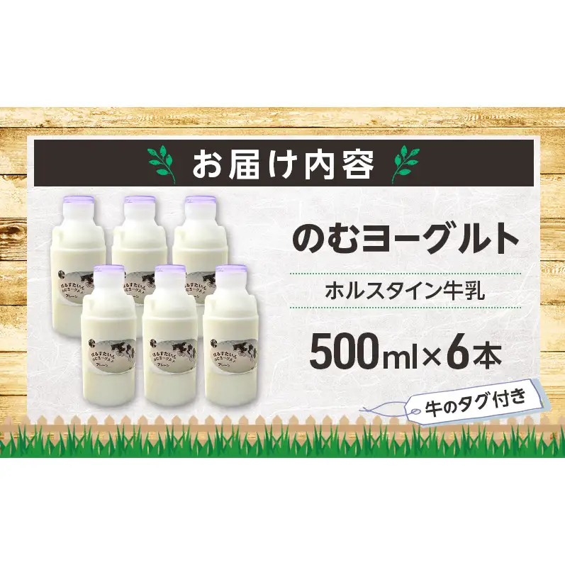 のむヨーグルト 生乳100%使用 500ml×6本 北海道産 ホルスタイン種 [i・ふぁーむ] 【 飲むヨーグルト 牧場直送 幕別 プレーン 濃厚 牛 朝食 】