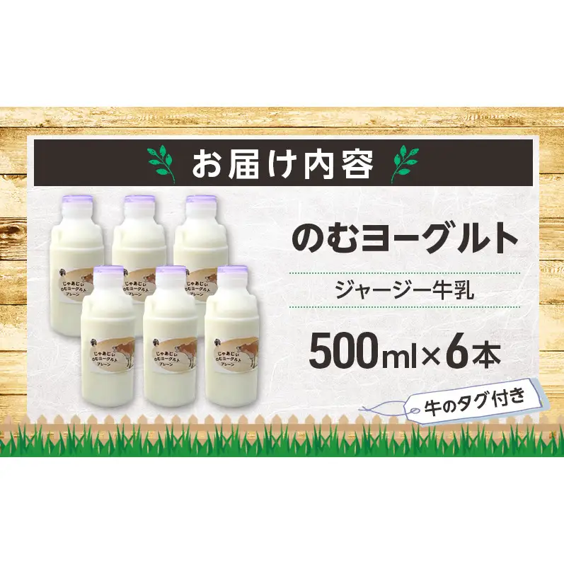 のむヨーグルト 生乳100%使用 500ml×6本 北海道産 ジャージー種 [i・ふぁーむ] 【 飲むヨーグルト 牧場直送 幕別 プレーン 濃厚 牛 朝食 】