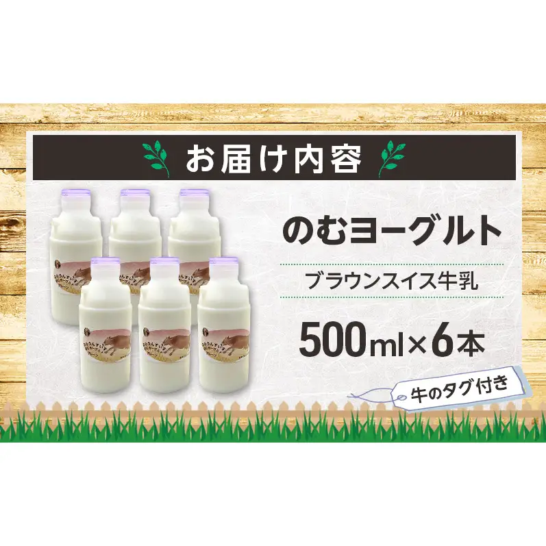 のむヨーグルト 生乳100%使用 500ml×6本 北海道産 ブラウンスイス種 [i・ふぁーむ] 【 飲むヨーグルト 牧場直送 幕別 プレーン 濃厚 牛 朝食 】