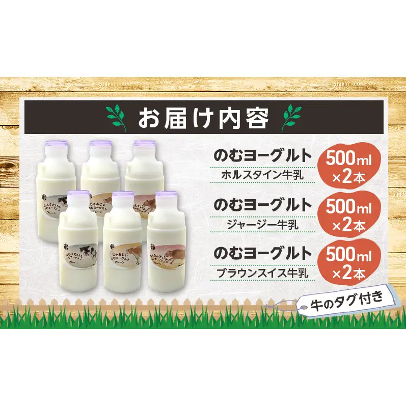のむヨーグルト 生乳100%使用 500ml×6本 北海道産 3種 飲み比べ ホルスタイン ジャージー ブラウンスイス [i・ふぁーむ] 【 飲むヨーグルト 牧場直送 幕別 プレーン 濃厚 牛 朝食 】