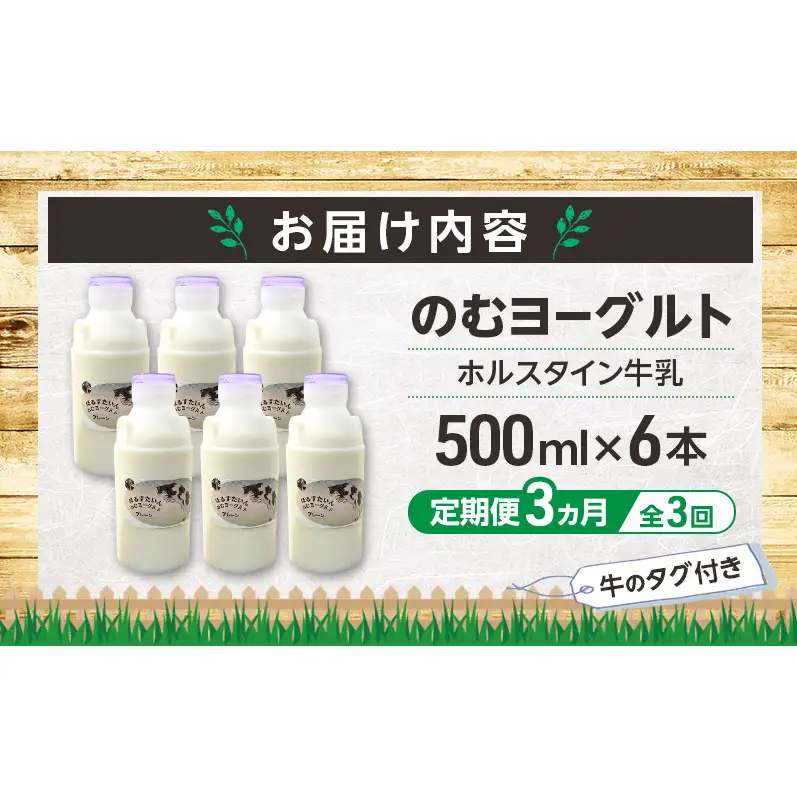 定期便 3ヵ月連続 全3回 のむヨーグルト 生乳100%使用 500ml×6本 北海道産 ホルスタイン種 [i・ふぁーむ] 【 飲むヨーグルト 牧場直送 幕別 プレーン 濃厚 牛 朝食 】