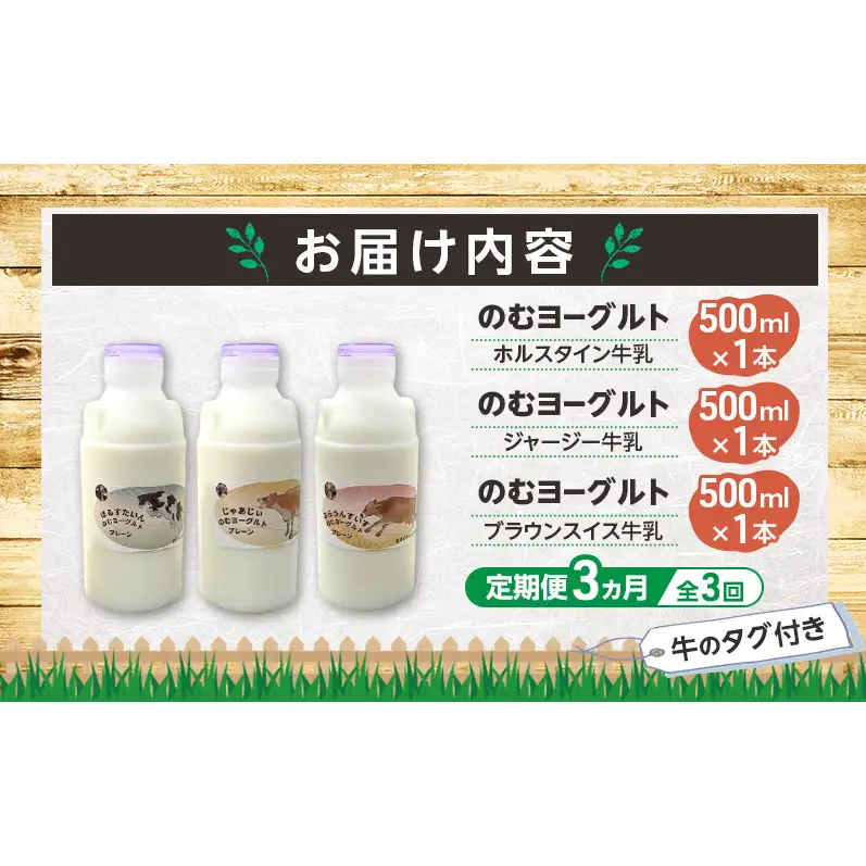 定期便 3ヵ月連続 全3回 のむヨーグルト 生乳100%使用 500ml×3本 北海道産 3種 飲み比べ ホルスタイン ジャージー ブラウンスイス [i・ふぁーむ] 【 飲むヨーグルト 牧場直送 幕別 プレーン 濃厚 牛 朝食 】