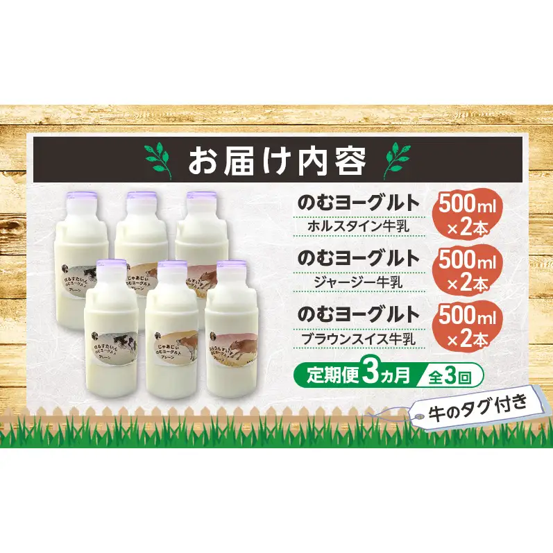 定期便 3ヵ月連続 全3回 のむヨーグルト 生乳100%使用 500ml×6本 北海道産 3種 飲み比べ ホルスタイン ジャージー ブラウンスイス [i・ふぁーむ] 【 飲むヨーグルト 牧場直送 幕別 プレーン 濃厚 牛 朝食 】