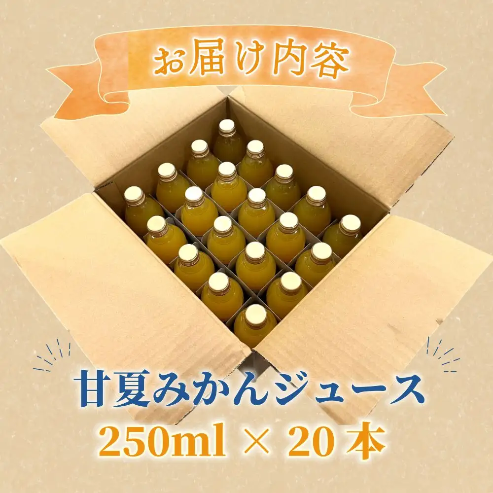 みかんジュース 甘夏 250ml 20本 果汁100％ みかんジュース