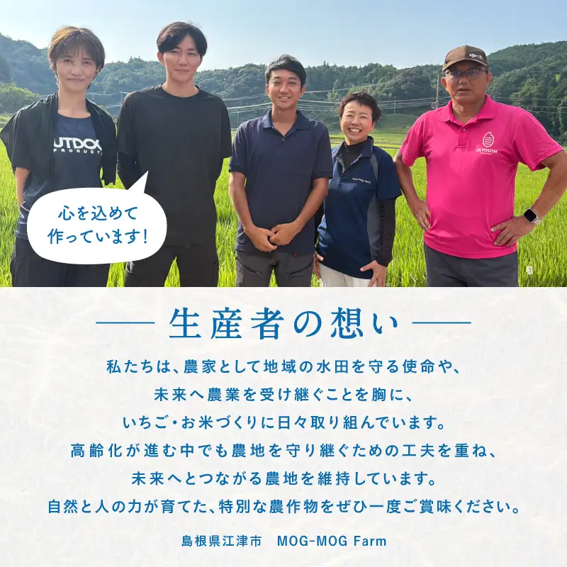 【先行予約】【R8年度産】島根県江津市 きぬむすめ 白米 5kg ※発送直前精米※ MG-3 新米 お米