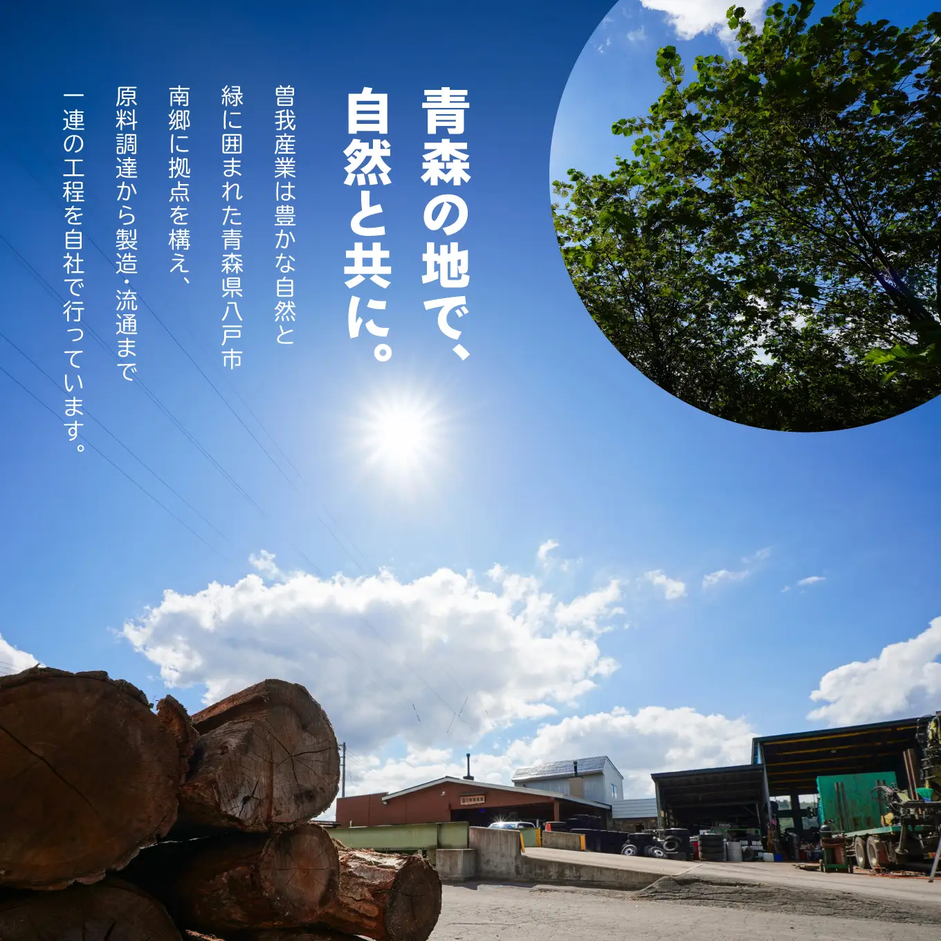 曽我産業 防草に最適 ウッドチップ 50リットル ガーデニング 防草 天然 焚付け 焚火 薪ストーブ 自然乾燥 青森県 八戸市