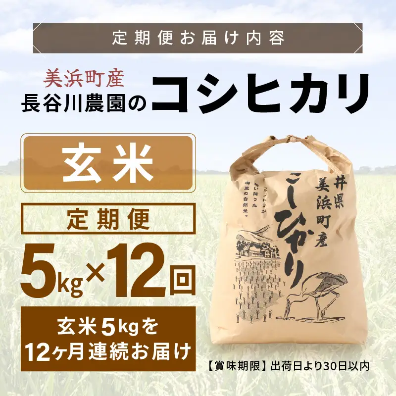 【玄米】定期便 ≪12ヶ月連続お届け≫コシヒカリ 令和8年産 玄米 5kg × 12回 (計60kg) 【長谷川農園】 [m22-k003]