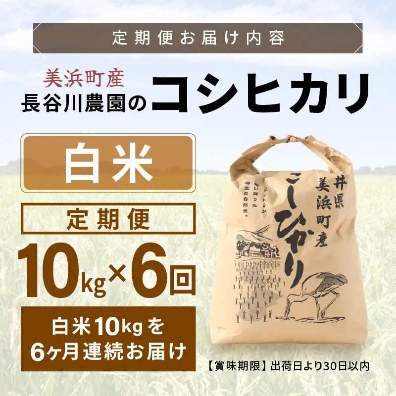 【白米】定期便 ≪6ヶ月連続お届け≫コシヒカリ 令和8年産 白米 10kg × 6回 (計60kg) 【長谷川農園】 [m22-l001]