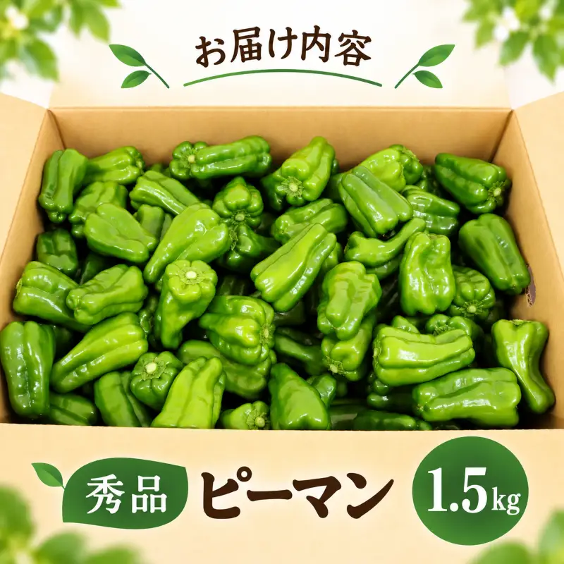 ピーマン 1.5kg 秀品 野菜 ぴーまん